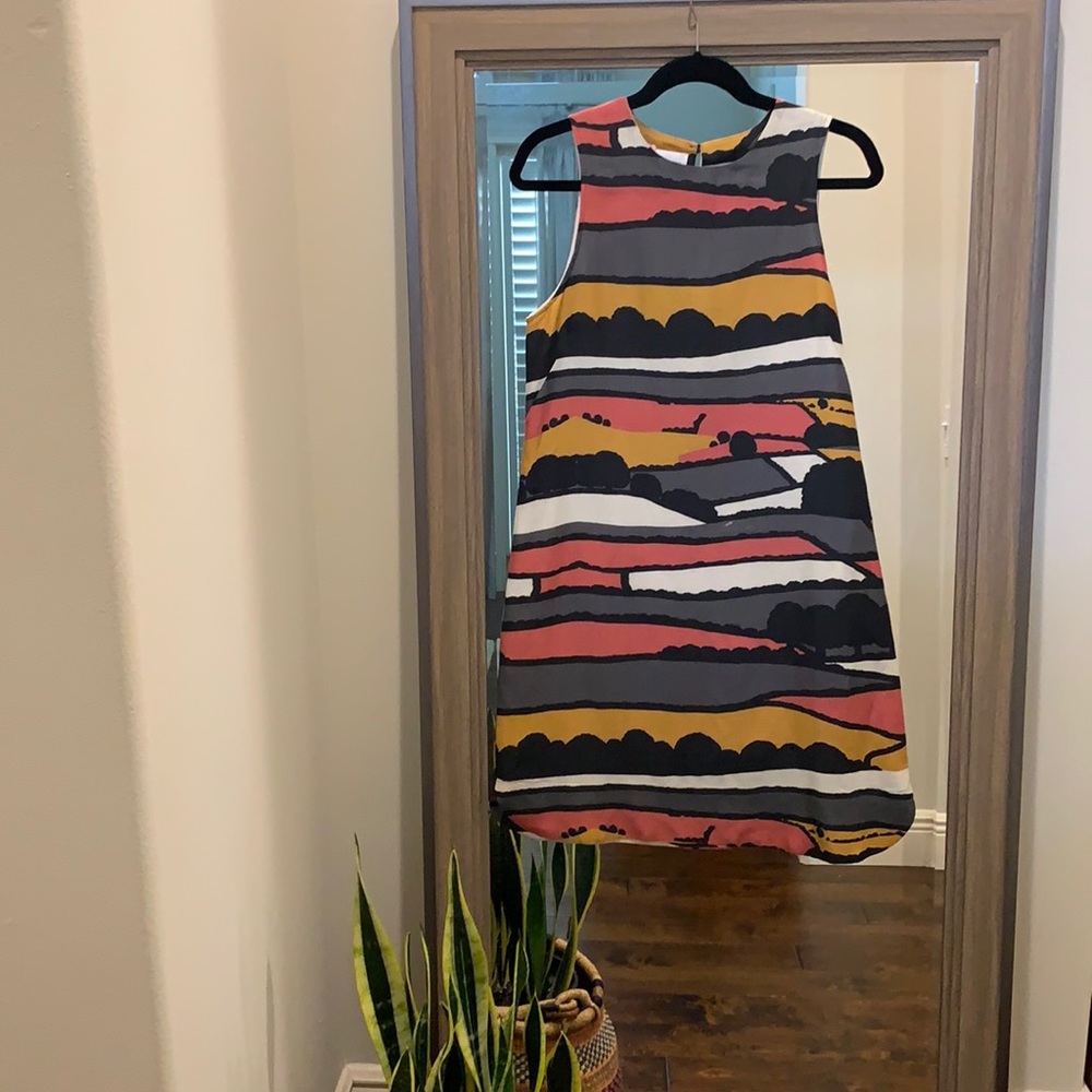 Shift dress from anthhropologie